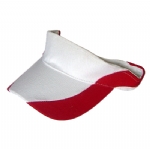 Sun visor