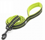 Harness & Leash 