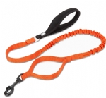 Harness & Leash 