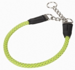Harness & Leash 