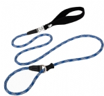 Harness & Leash 
