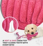 Pet toy