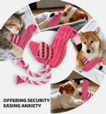 Pet toy