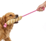 Pet toy
